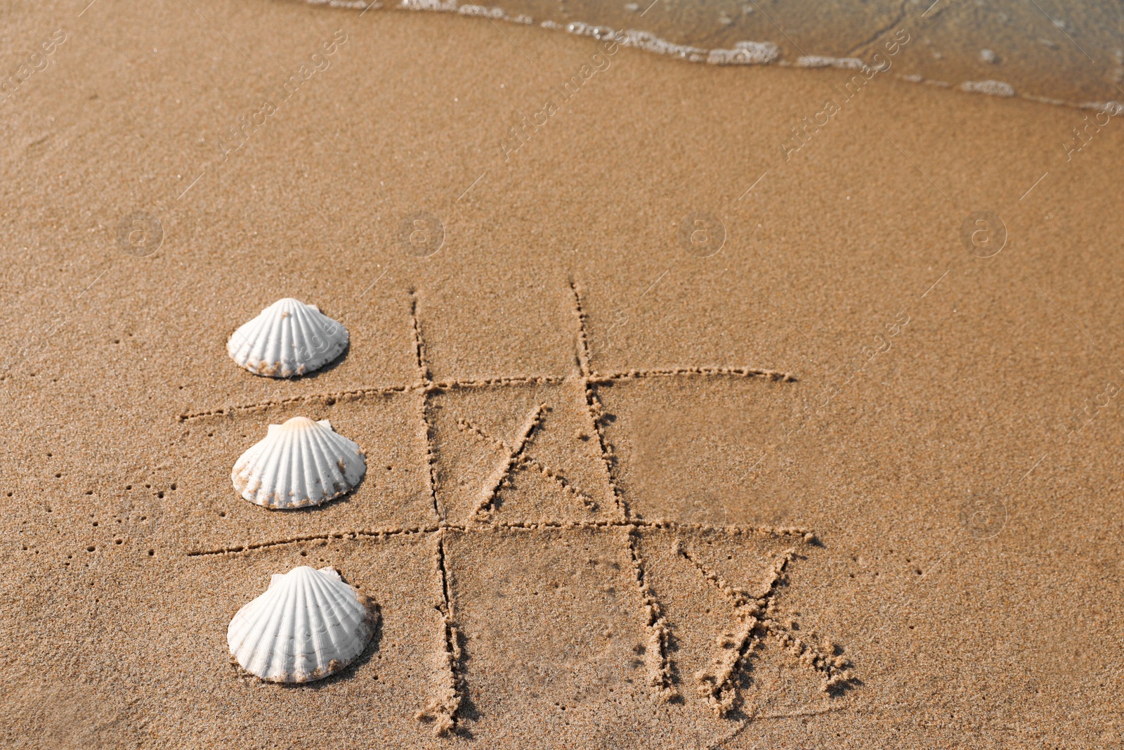 Photo of Playing Tic tac toe game with shells on sand near sea. Space for text