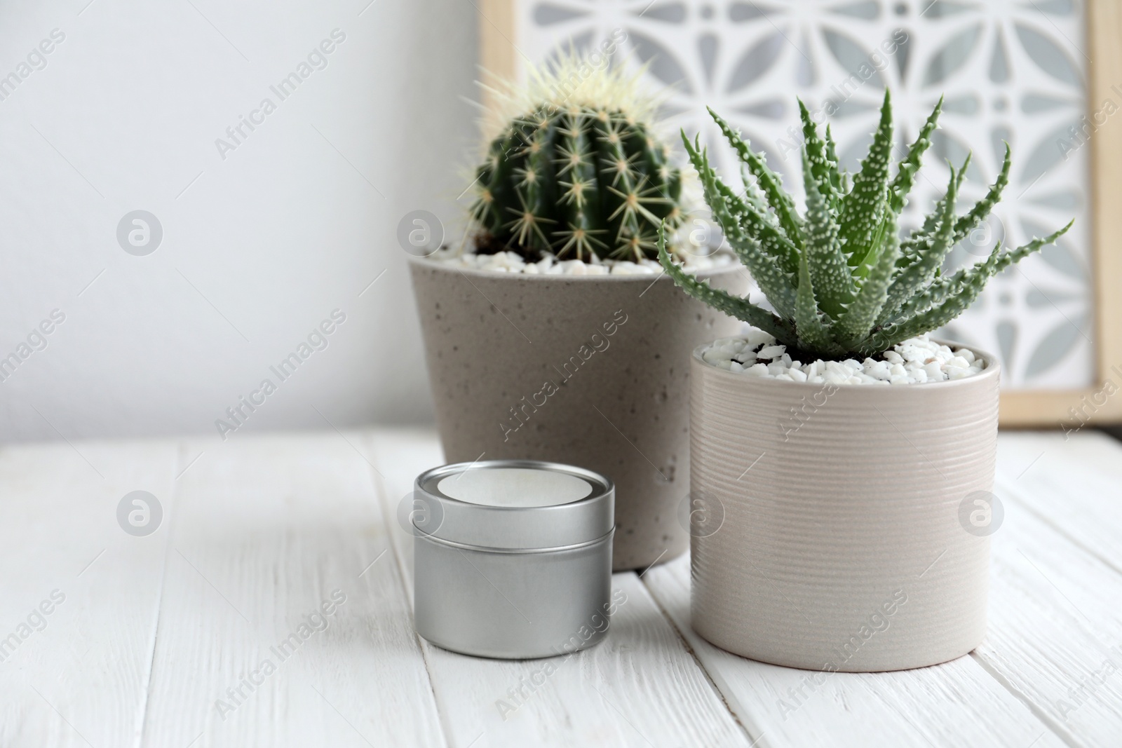 Photo of Closeup view of beautiful Aloe and Cactus in pots with decor on white wooden table, space for text. Different house plants