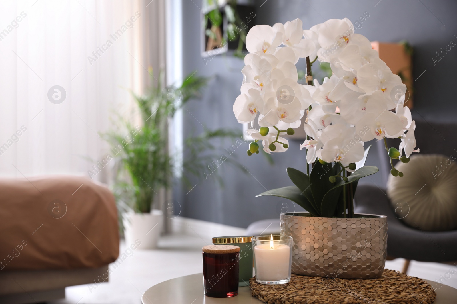 Photo of Beautiful white orchids and candles on table in room, space for text. Interior design