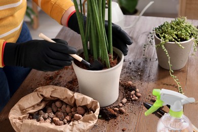 Woman transplanting houseplant into new pot at wooden table indoors, closeup