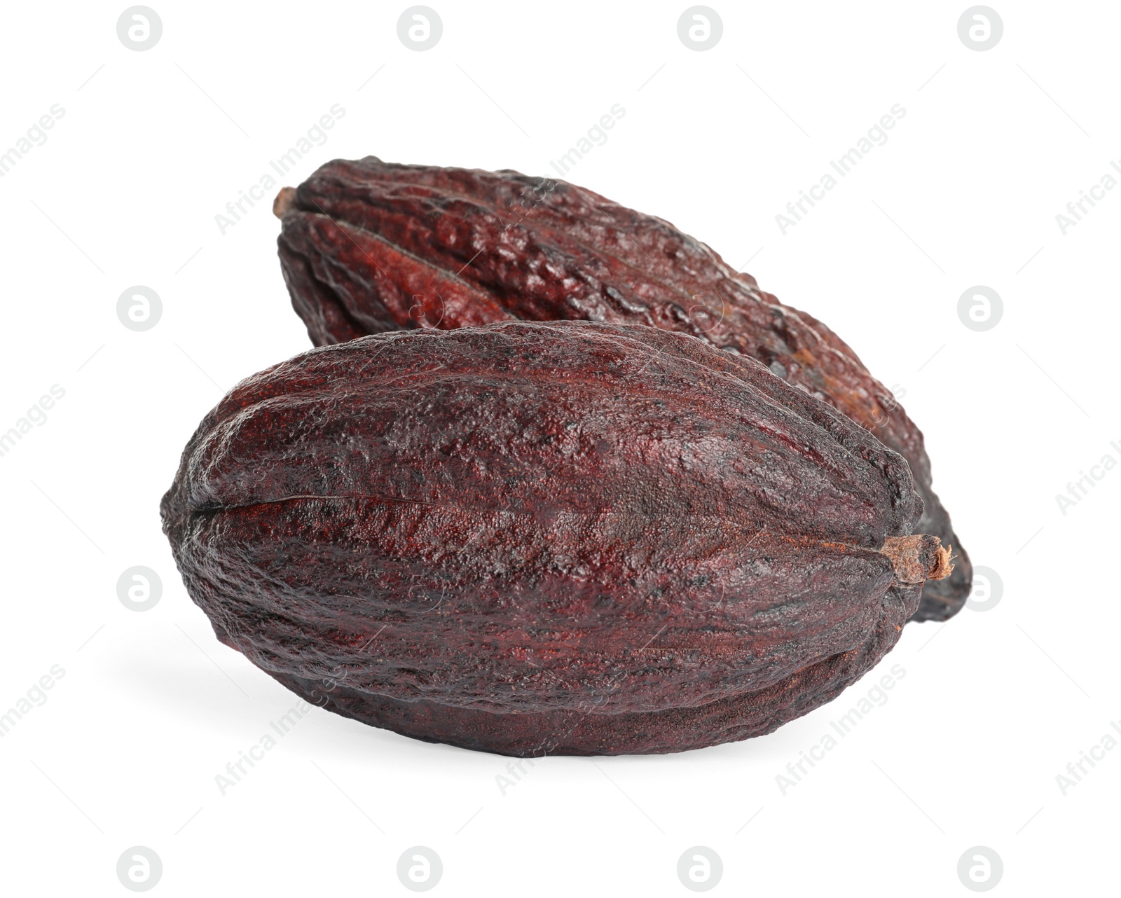 Photo of Whole tropical cocoa pods isolated on white