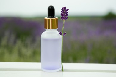 Bottle of essential oil and lavender flower on white wooden table in field