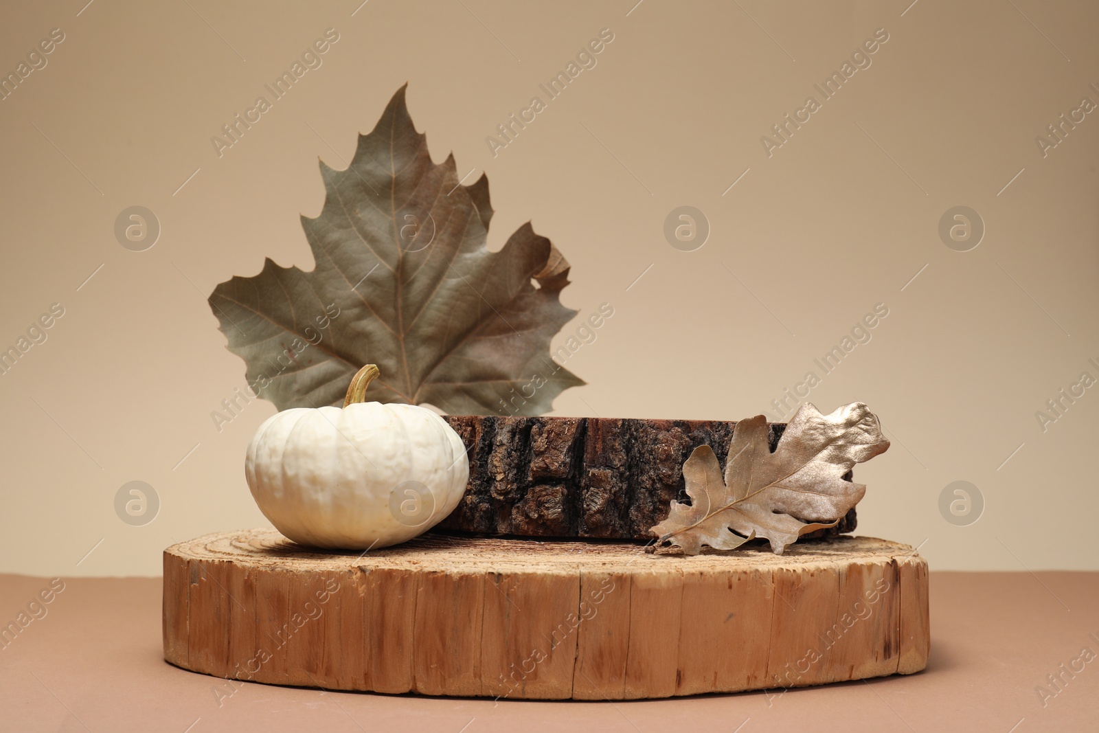 Photo of Autumn presentation for product. Wooden stumps, leaves and pumpkin on color background