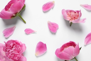 Beautiful peony flowers on white background, top view