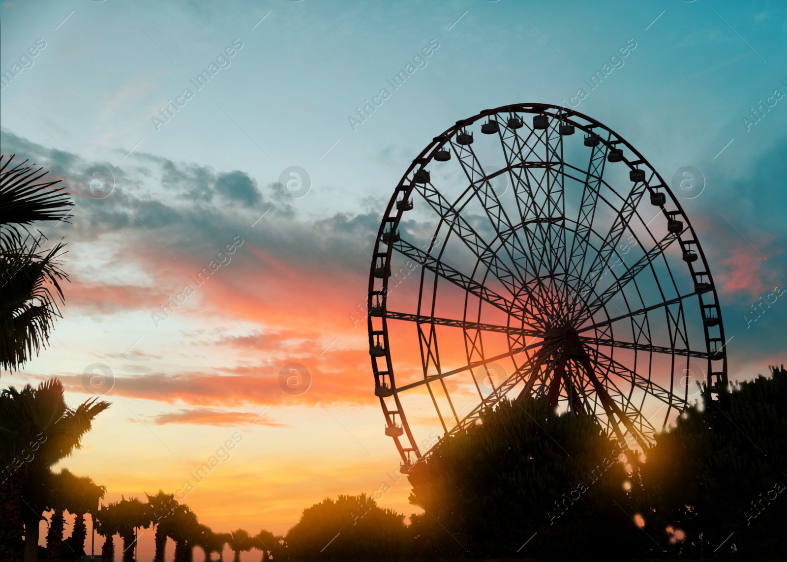 Image of Beautiful large Ferris wheel outdoors at sunset