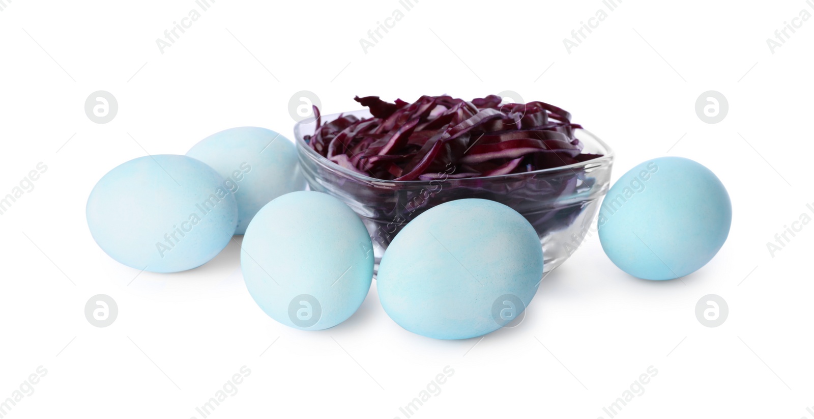 Photo of Light blue Easter eggs painted with natural dye and red shredded cabbage on white background