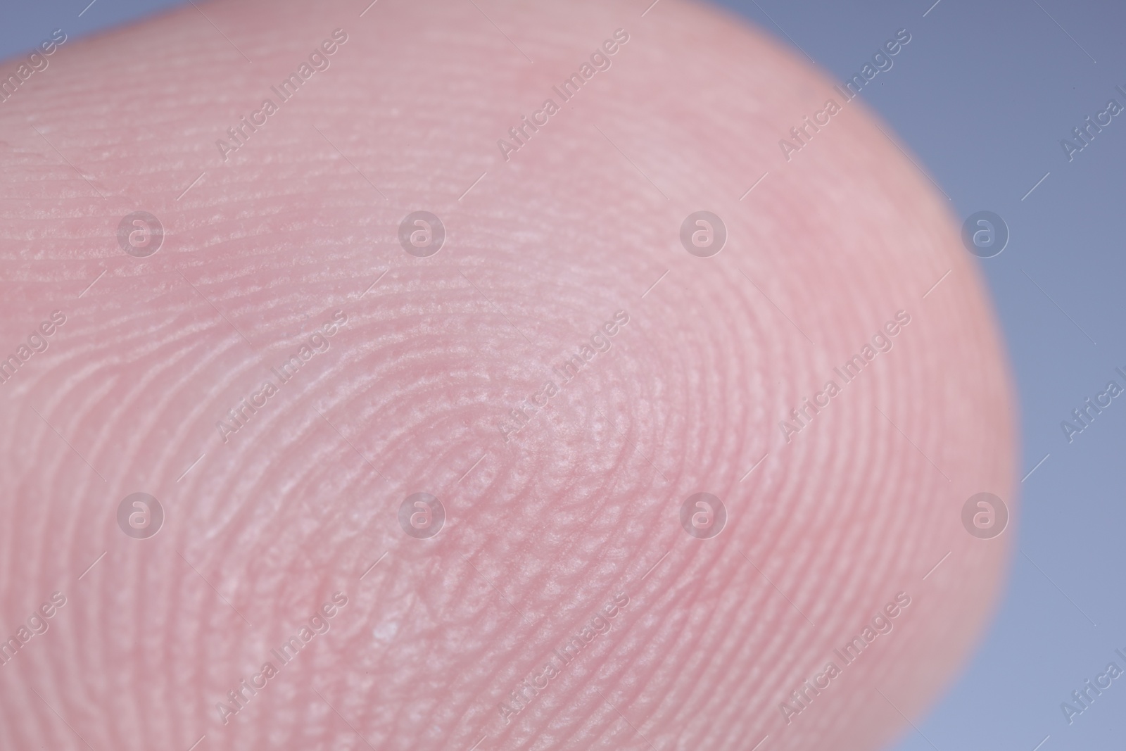 Photo of Macro view of finger with friction ridges