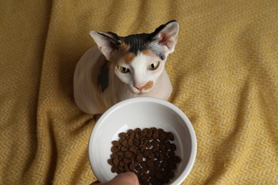 Owner giving feeding bowl with kibble to Sphynx cat on yellow plaid, top view