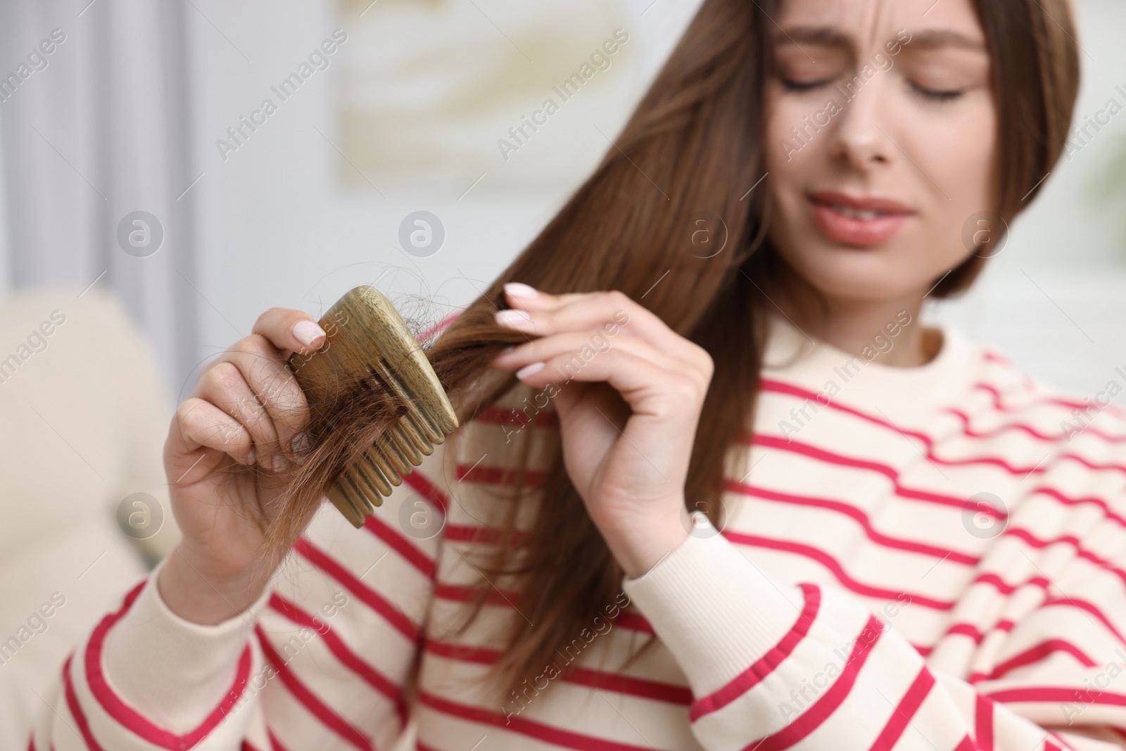 Photo of Upset woman brushing her hair indoors, selective focus. Alopecia problem
