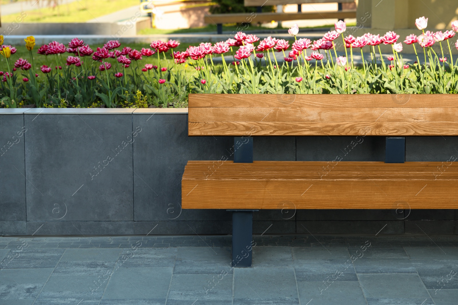 Photo of Wooden bench near flowerbed outdoors on sunny morning