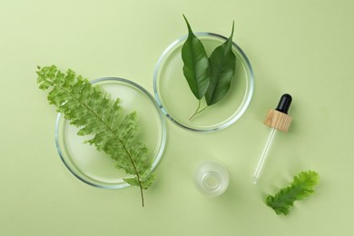 Flat lay composition with Petri dishes and plants on pale light green background