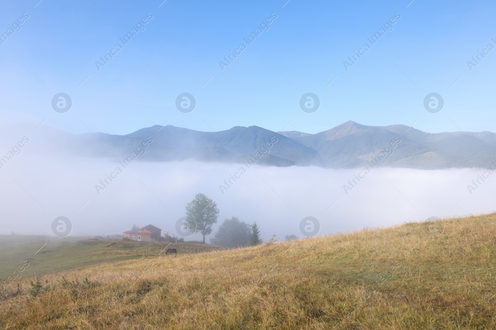 Photo of Beautiful view of landscape with foggy mountain hills