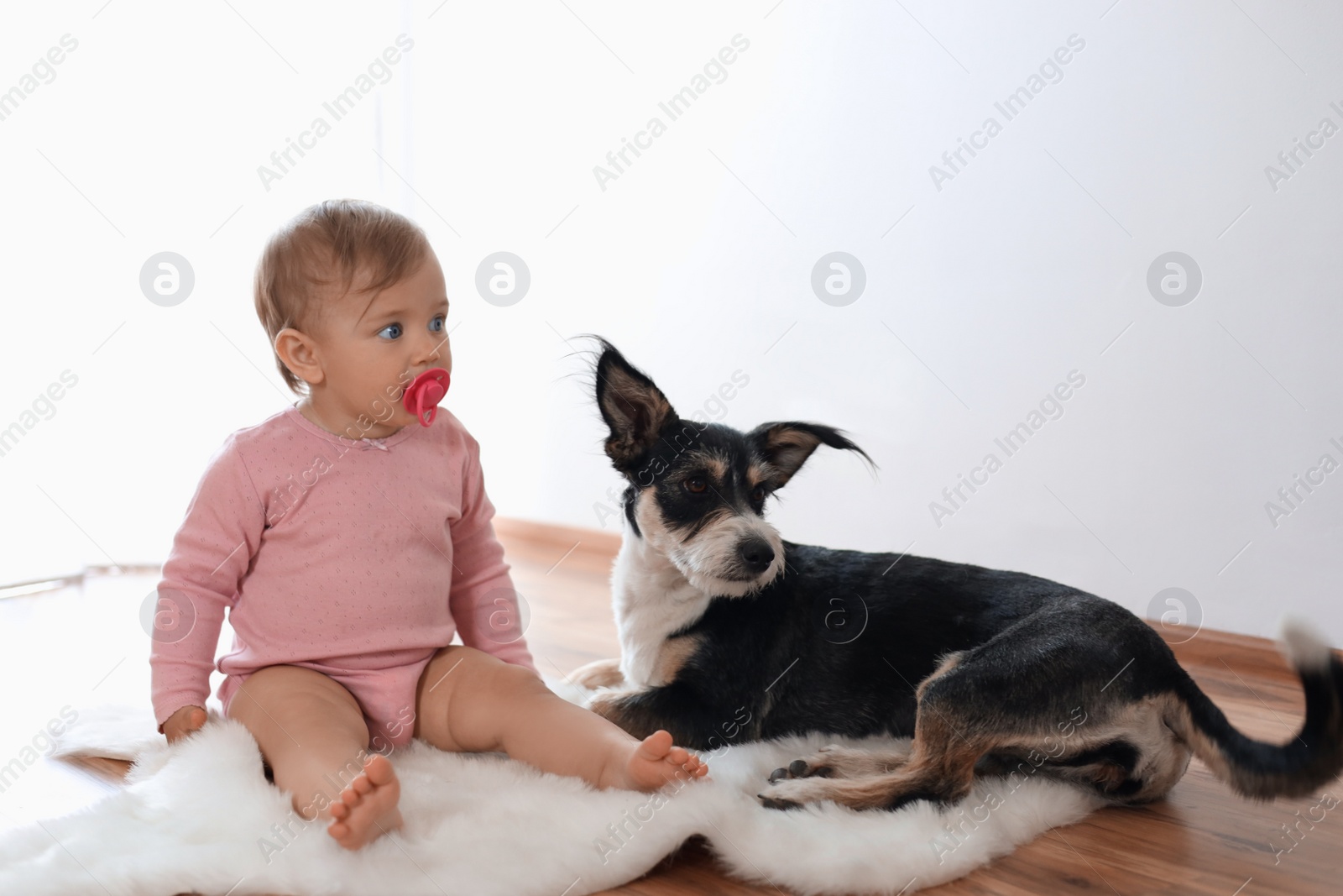 Photo of Adorable baby with pacifier and cute dog on faux fur rug indoors