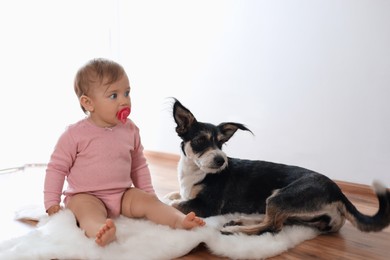 Adorable baby with pacifier and cute dog on faux fur rug indoors
