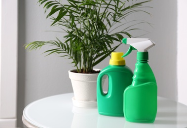 Beautiful house plant and bottles of fertilizers on table indoors. Space for text