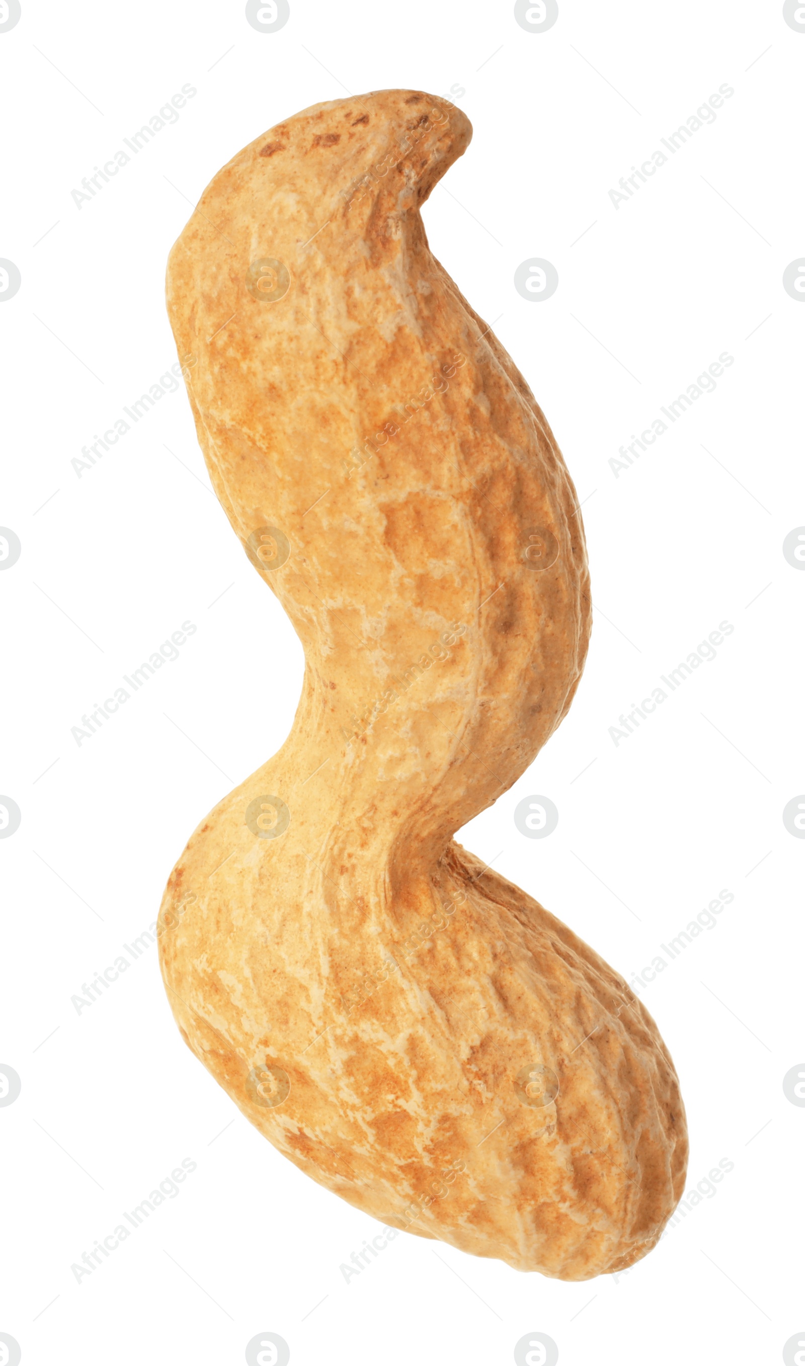 Photo of One fresh unpeeled peanut isolated on white