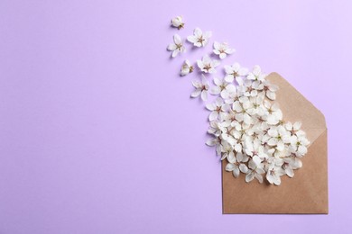 Photo of Envelope with apricot tree flowers on violet background, flat lay. Space for text