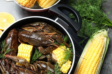 Fresh raw crayfishes with corn cobs in pot on grey table, flat lay