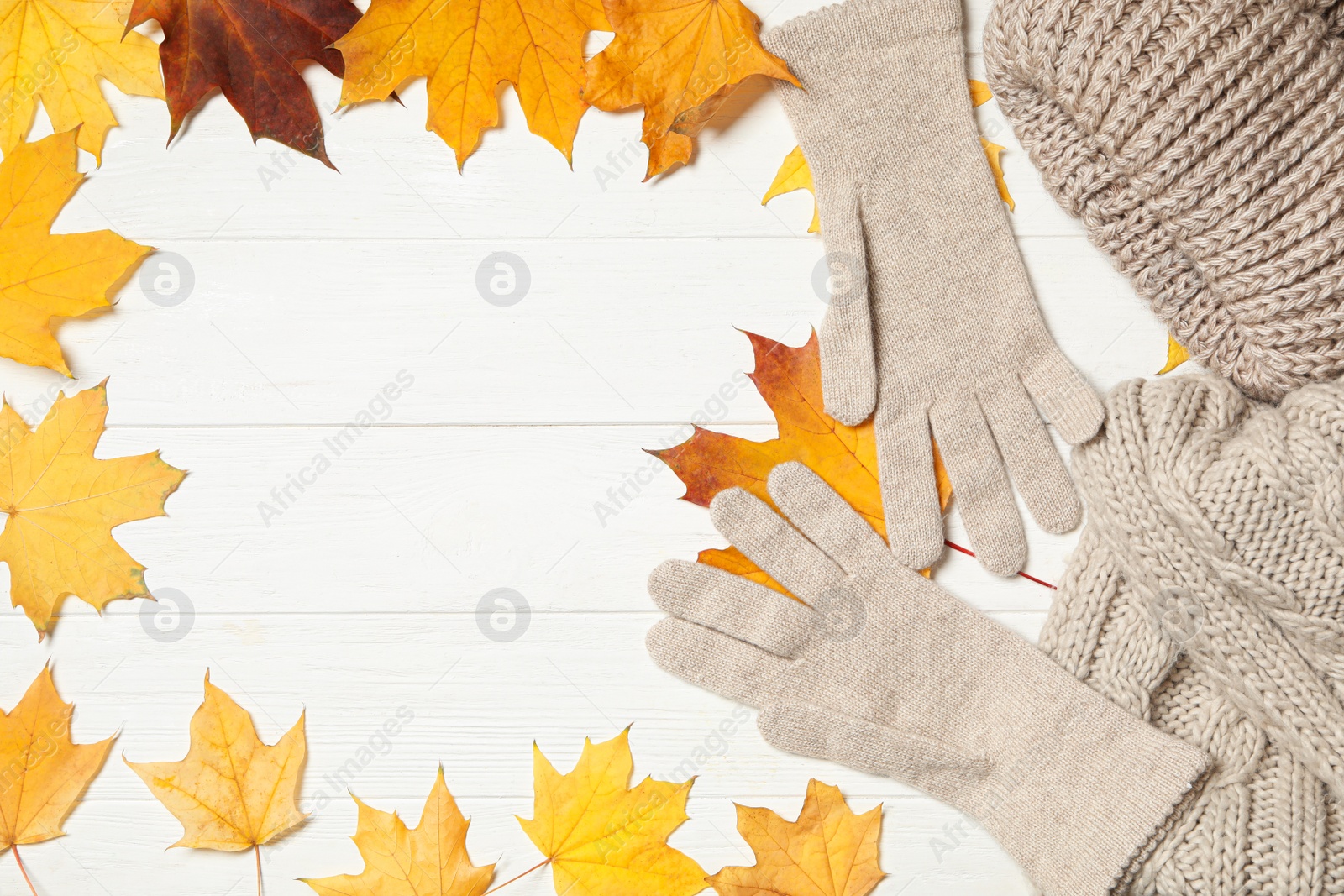 Photo of Flat lay composition with stylish woolen gloves and dry leaves on white wooden table. Space for text