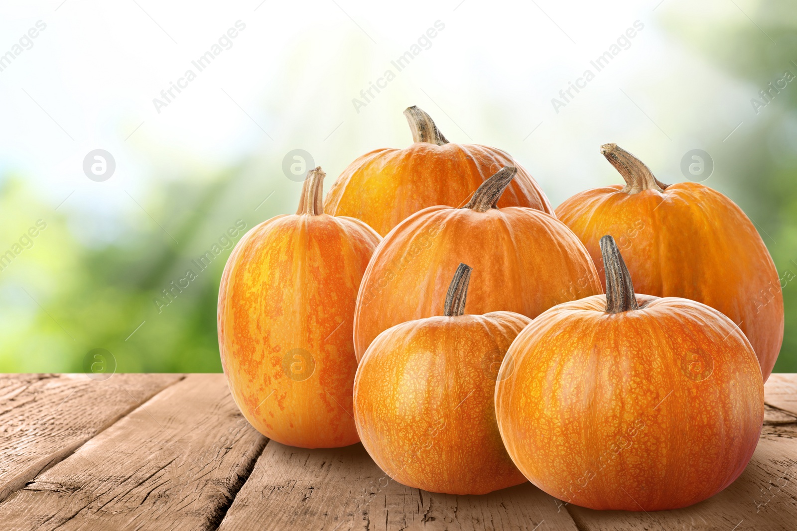 Image of Wooden table with fresh pumpkins outdoors on sunny day