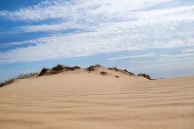 Picturesque landscape of desert on sunny day