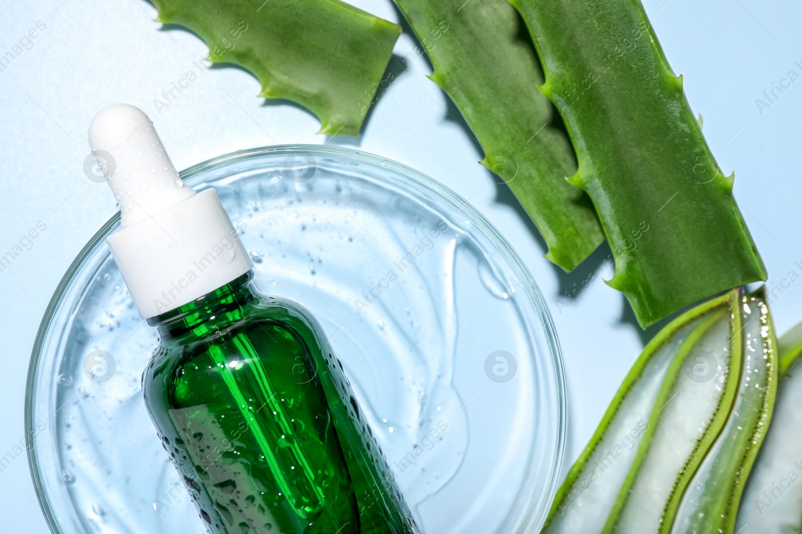 Photo of Petri dish with cosmetic products and aloe vera leaves on light blue background, flat lay