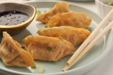 Photo of Delicious gyoza (asian dumplings) with green onions, soy sauce and chopsticks on plate, closeup