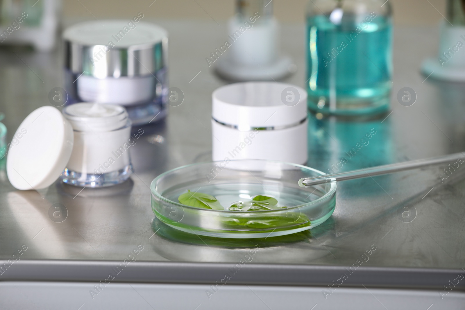 Photo of Glass tubes, containers and petri dish with leaves on metal table indoors