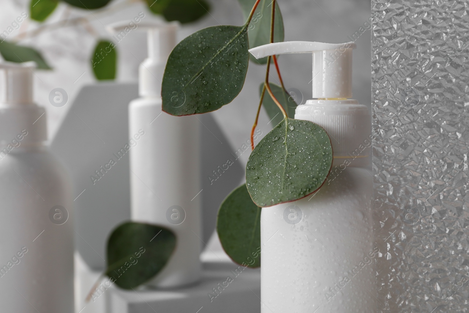 Photo of Bottles of face cleansing products and eucalyptus leaves, closeup