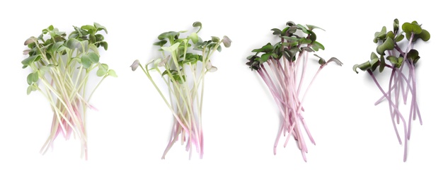 Image of Set of different fresh microgreens on white background, top view. Banner design 