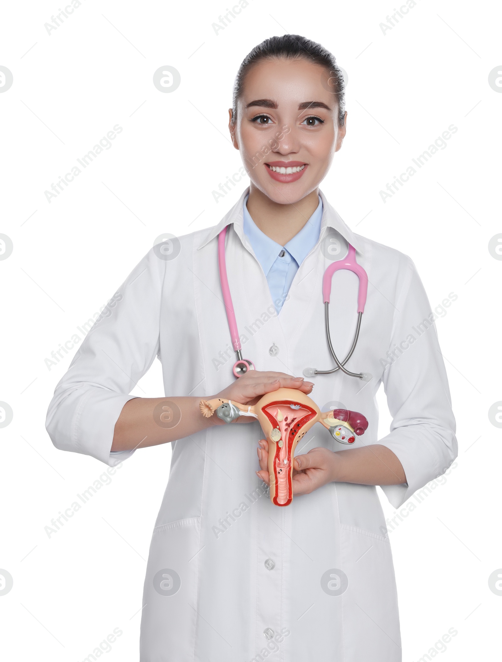 Photo of Doctor demonstrating model of female reproductive system on white background. Gynecological care