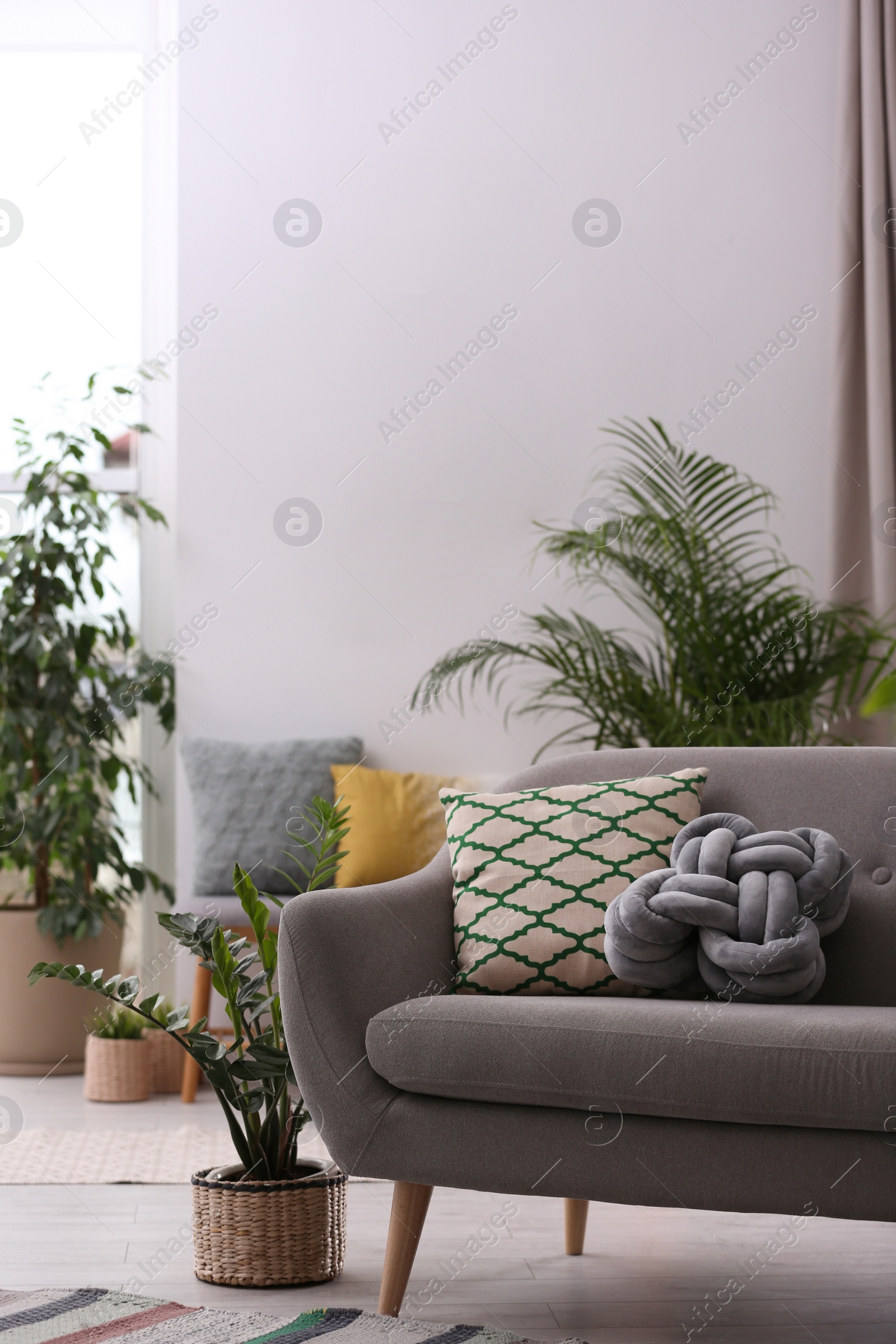 Photo of Stylish modern room interior with exotic houseplants