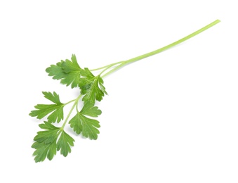 Photo of Leaves of fresh tasty parsley on white background