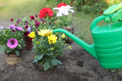 Photo of Woman watering beautiful blooming flowers outdoors, closeup