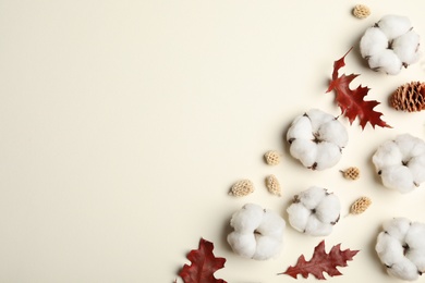 Flat lay composition with cotton flowers on beige background, space for text