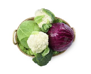 Wicker tray with different types of fresh cabbage on white background, top view