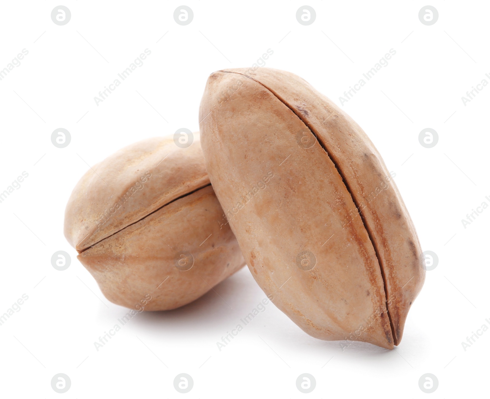 Photo of Pecan nuts in shell on white background. Nutritive food