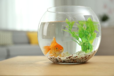 Photo of Beautiful bright small goldfish in round glass aquarium on wooden table indoors