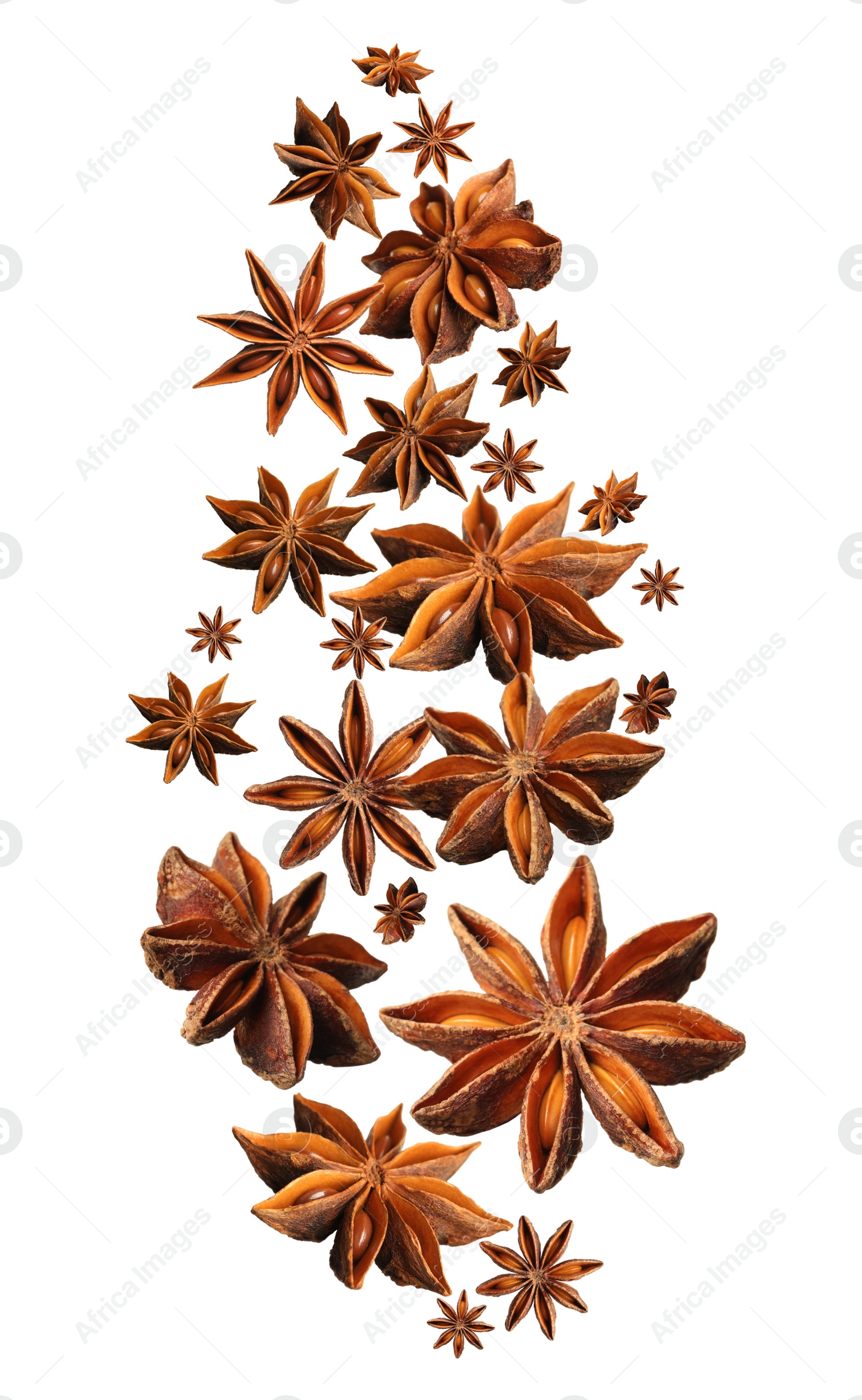 Image of Dry aromatic anise stars falling on white background