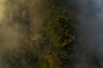 Aerial view of beautiful landscape with misty forest 