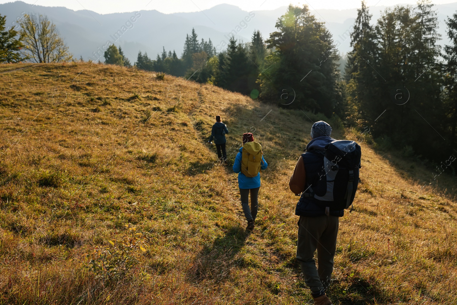Photo of Tourists with backpacks hiking in mountains on sunny day, back view. Space for text