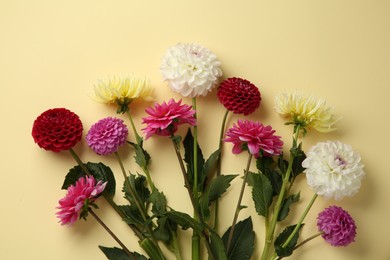 Photo of Beautiful dahlia flowers on pale yellow background, flat lay