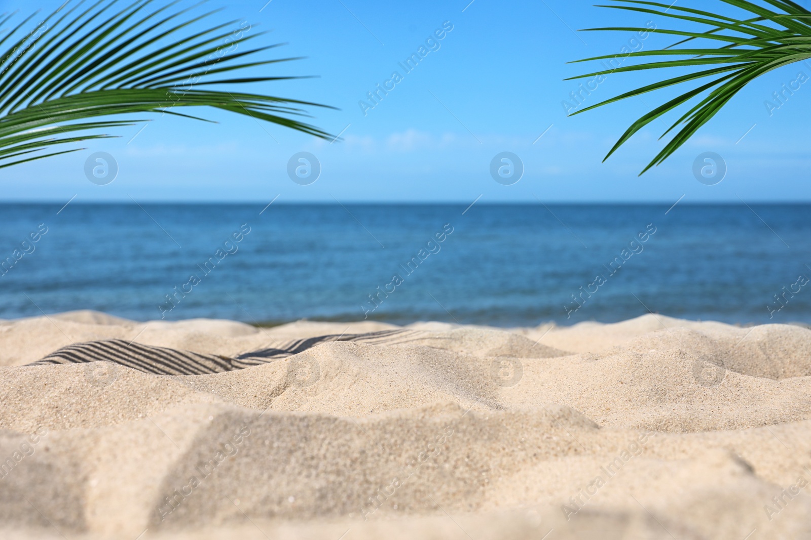 Photo of Sandy beach near sea on sunny day