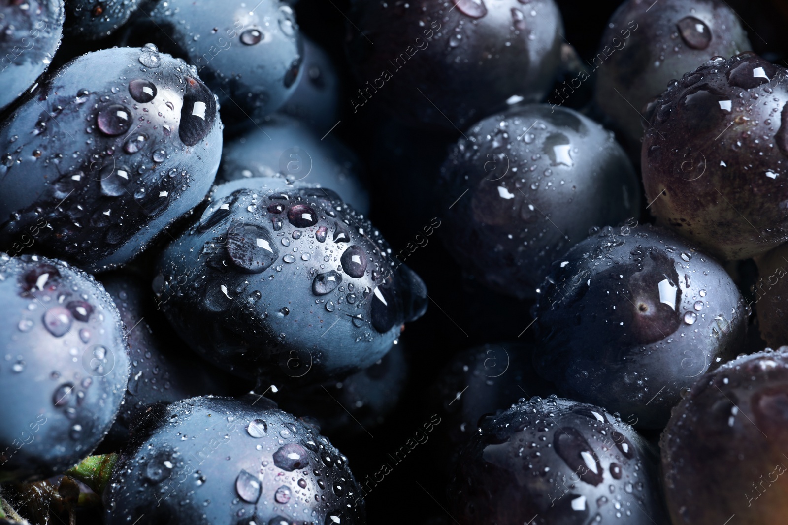 Photo of Bunch of fresh ripe juicy grapes as background. Closeup view