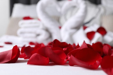 Photo of Honeymoon. Swans made with towels and beautiful rose petals on bed, selective focus