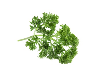 Photo of Fresh green organic parsley on white background