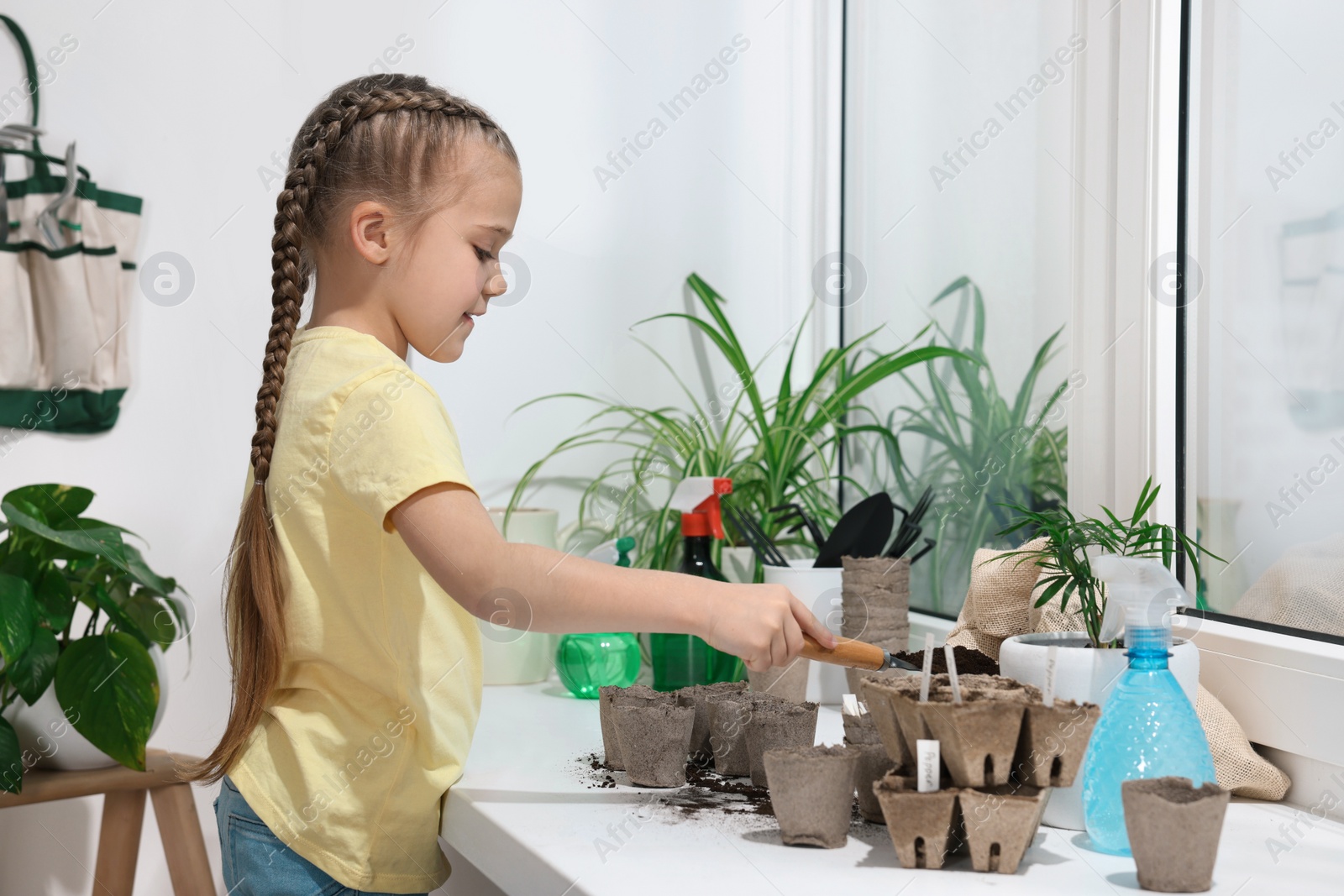 Photo of Little girl adding soil into peat pots on window sill indoors. Growing vegetable seeds