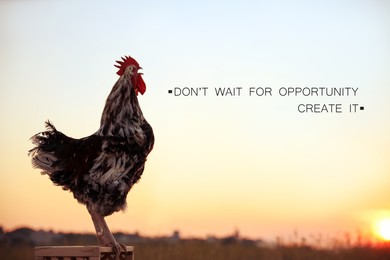 Image of Don't Wait For Opportunity Create It. Inspirational quote motivating to take first step, to be active. Text against view of rooster crowing in morning 