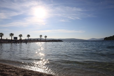 Photo of Beautiful beach with palm trees near sea on sunny morning