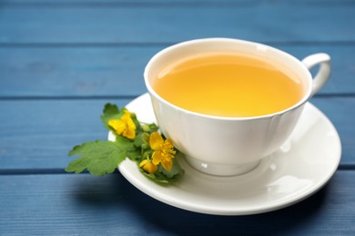 Photo of Cup of aromatic celandine tea and flowers on blue wooden table, closeup. Space for text